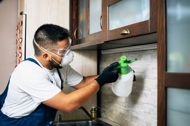 Best Pest Inspection Near Me  in Delavan Lake, WI