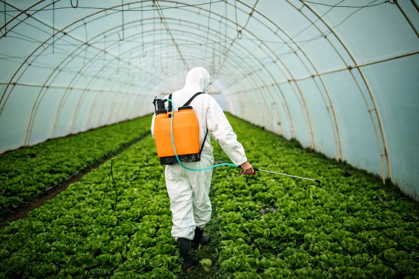 Best Pest Control Treatment  in Delavan Lake, WI