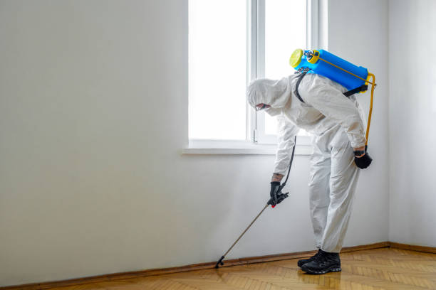 Trusted Delavan Lake, WI Pest Control Experts