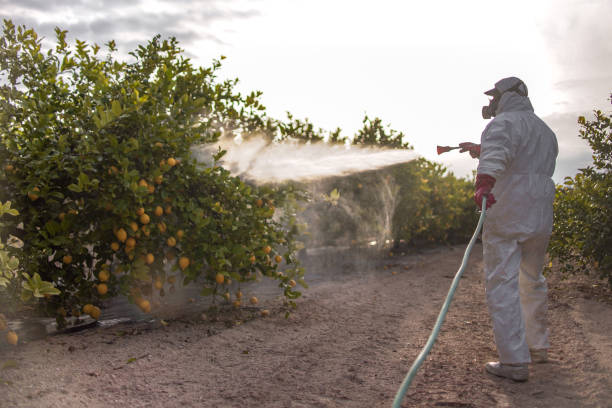 Best Exterminator Services  in Delavan Lake, WI