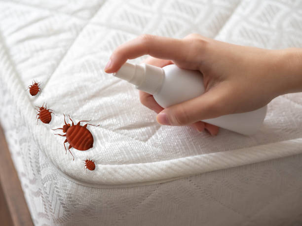 Best Insect Control  in Delavan Lake, WI