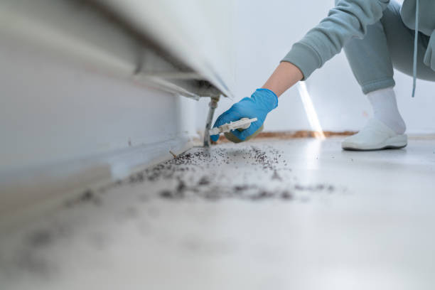 Flea Control Services in Delavan Lake, WI