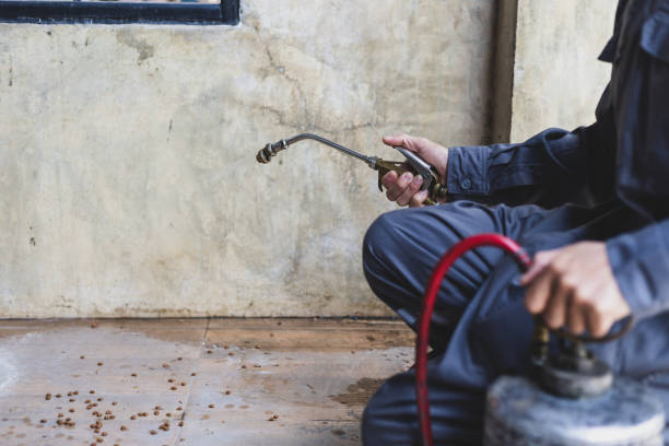 Best Best Pest Control Companies  in Delavan Lake, WI